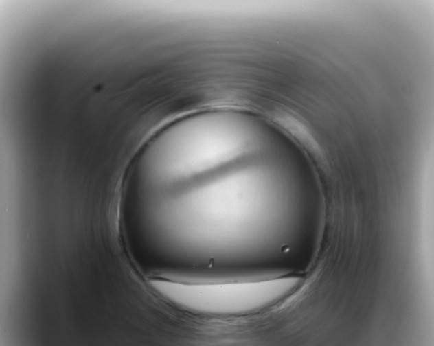 X0000088741228200706071653