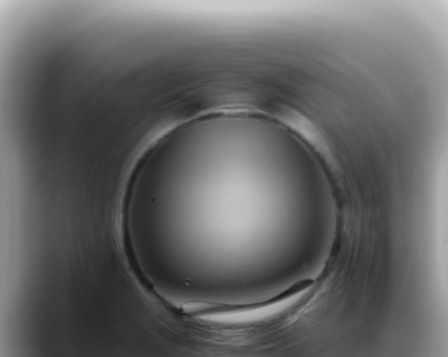 X0000088741229200706071653