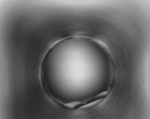 X0000088741231200706071653