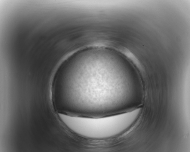 X0000088741232200706071653