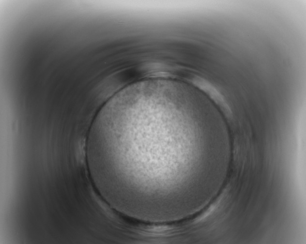 X0000088741233200706071653