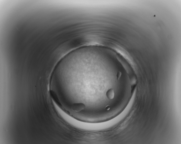 X0000088741234200706071653