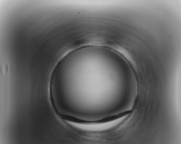 X0000088741237200706071653