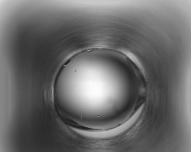 X0000088741238200706071653