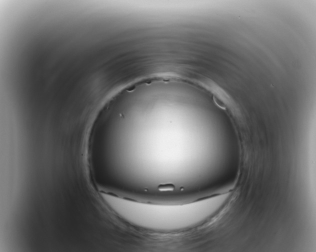 X0000088741240200706071653