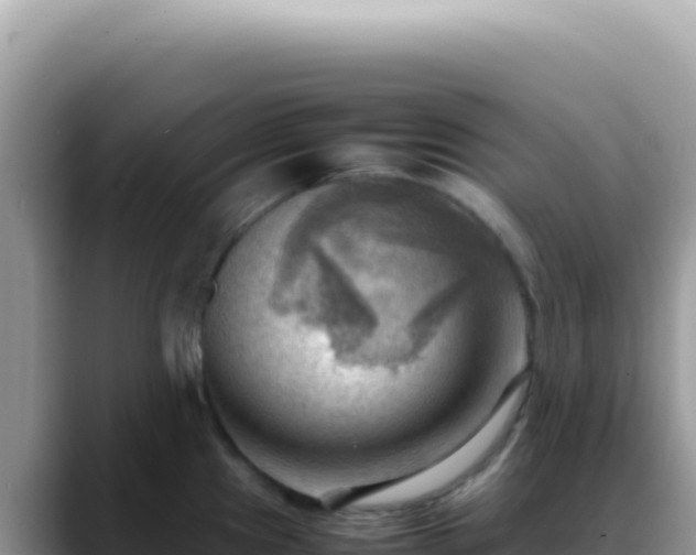 X0000088741241200706071653