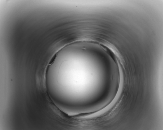 X0000088741242200706071653