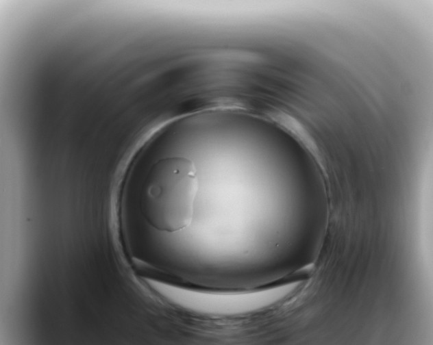X0000088741243200706071653