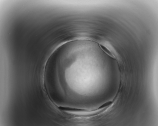 X0000088741244200706071653