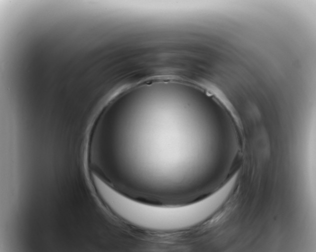 X0000088741245200706071653