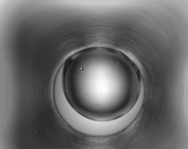 X0000088741246200706071653