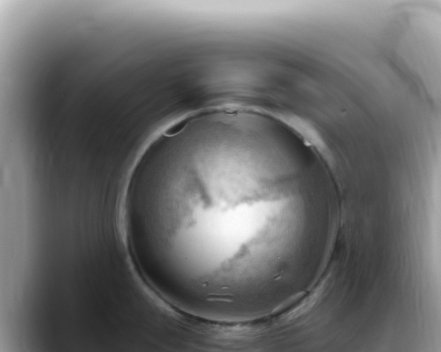 X0000088741247200706071653