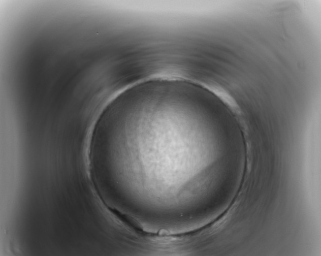 X0000088741248200706071653