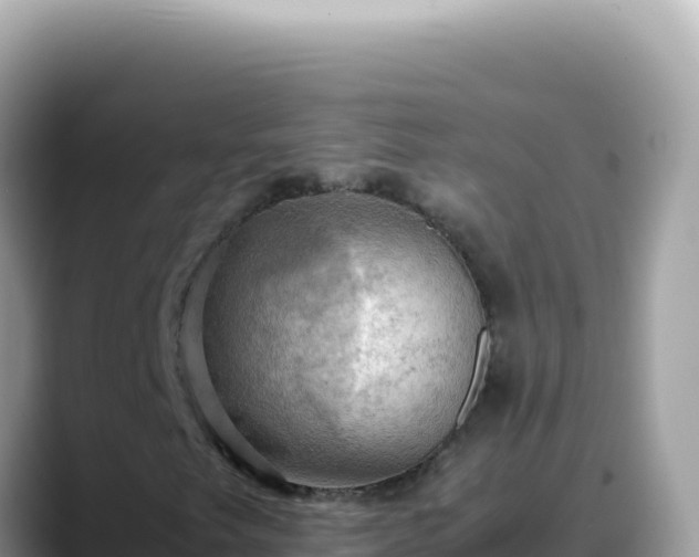 X0000088741249200706071653