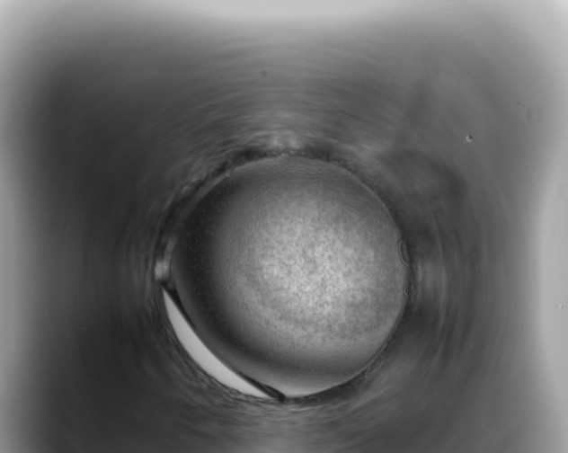 X0000088741250200706071653