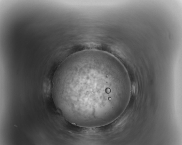 X0000088741251200706071653