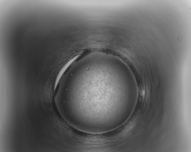 X0000088741252200706071653