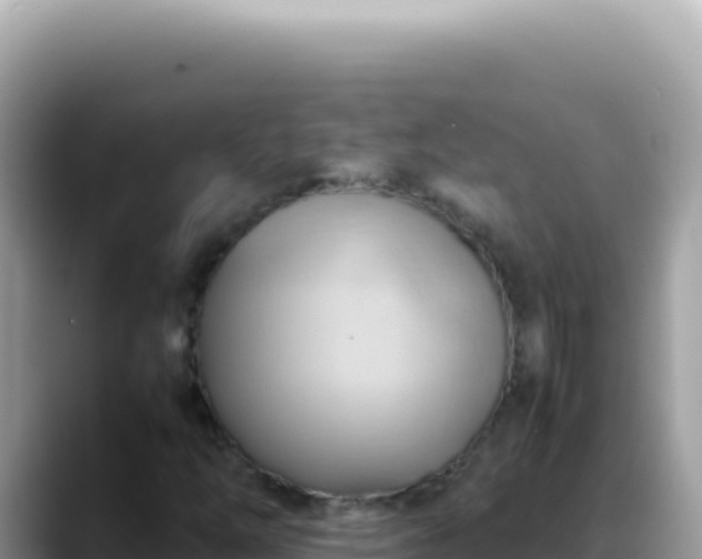 X0000088741254200706071653