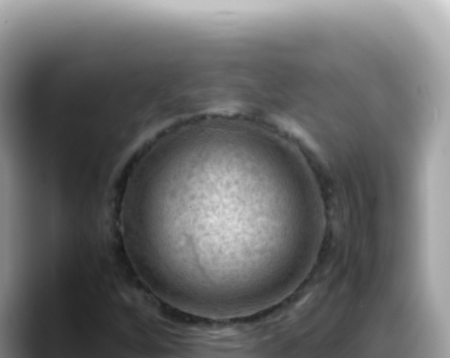 X0000088741256200706071653