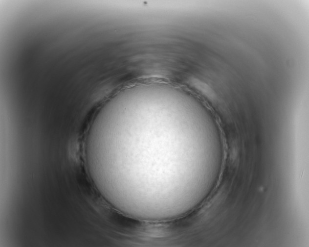 X0000088741258200706071653