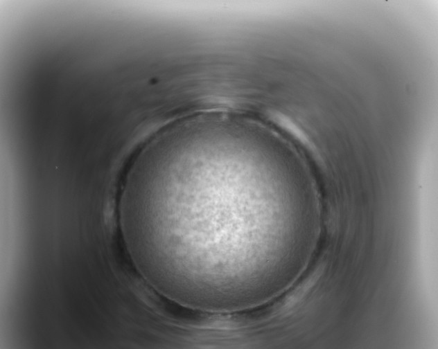 X0000088741259200706071653