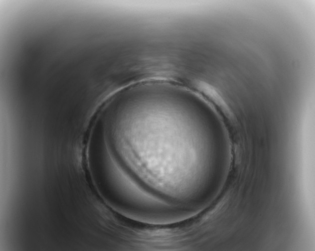 X0000088741260200706071653