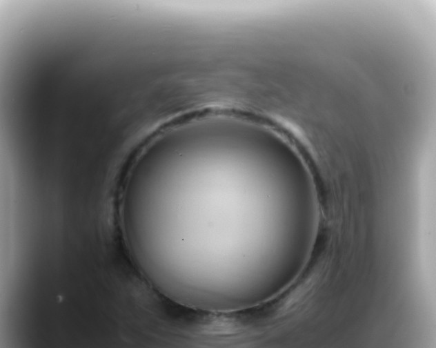 X0000088741263200706071653