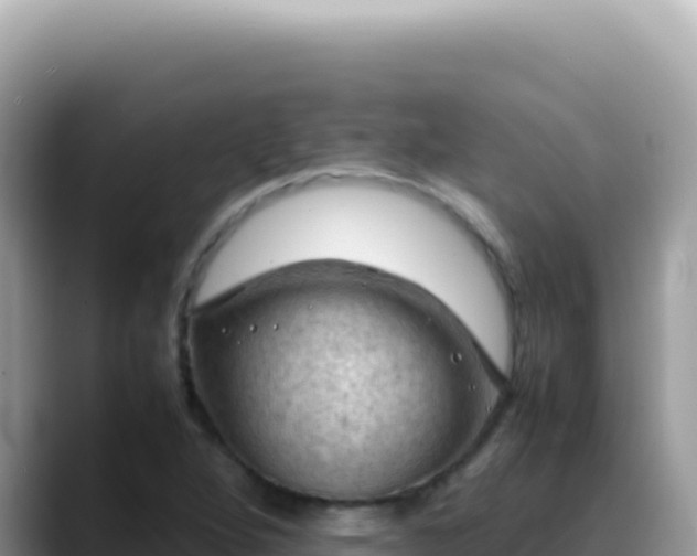 X0000088741264200706071653