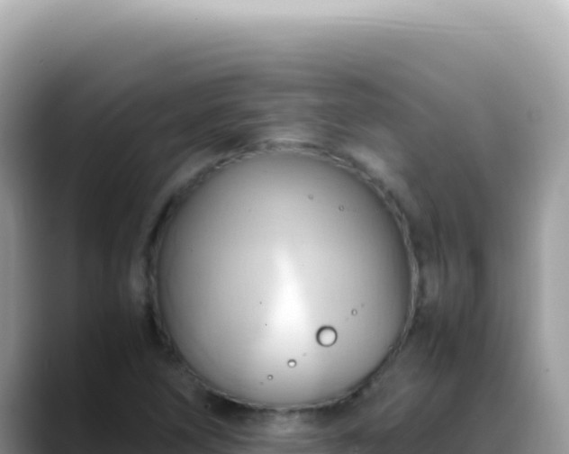 X0000088741266200706071653
