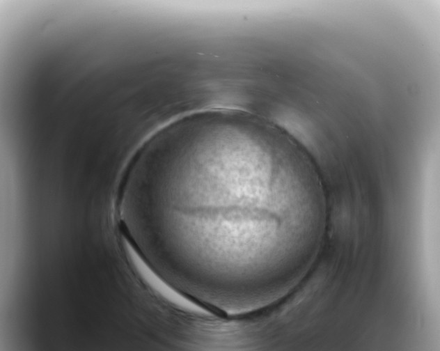 X0000088741268200706071653