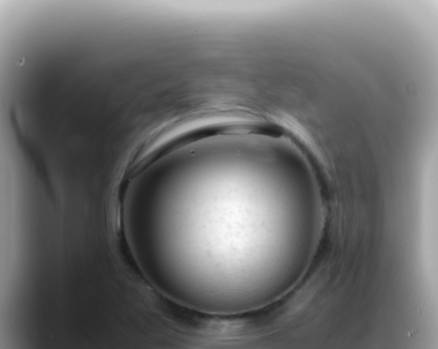 X0000088741269200706071653
