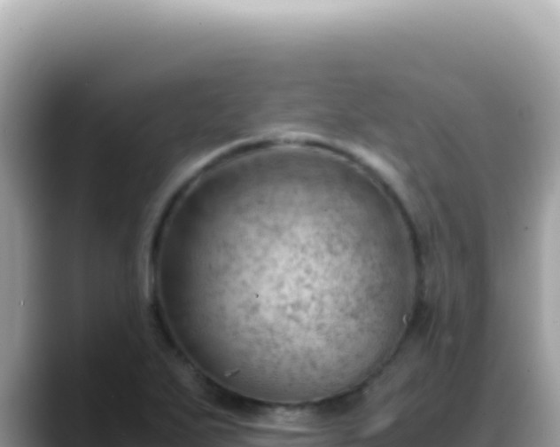 X0000088741271200706071652