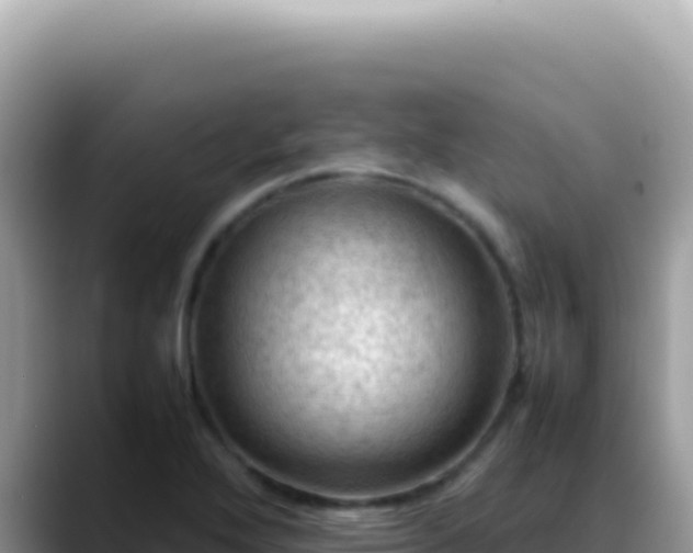 X0000088741272200706071652