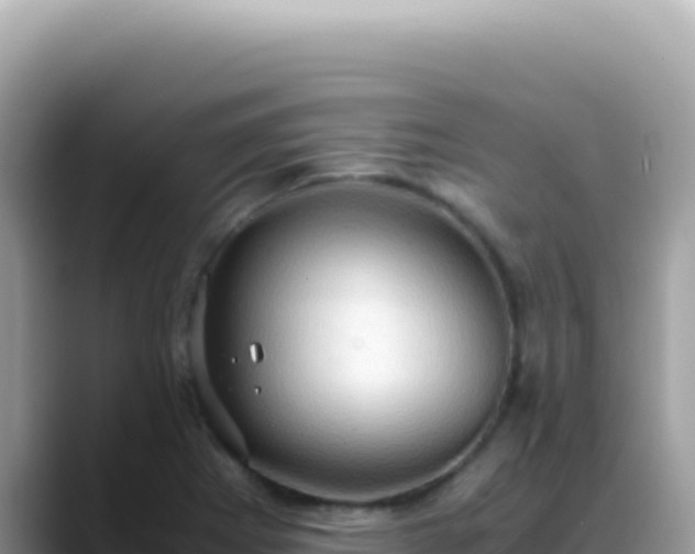 X0000088741273200706071652