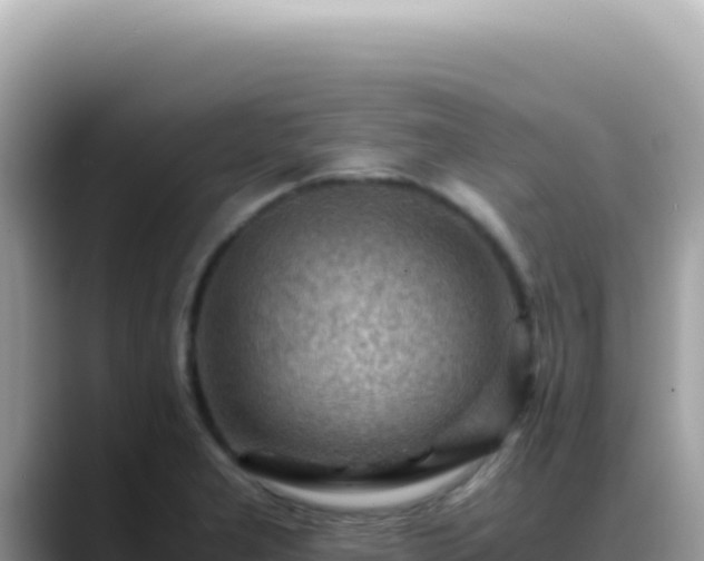 X0000088741277200706071652