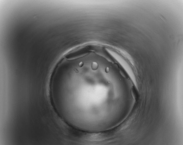 X0000088741279200706071652