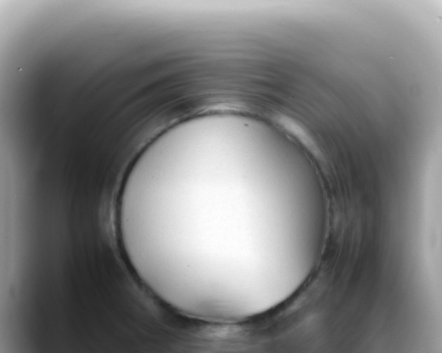 X0000088741282200706071652