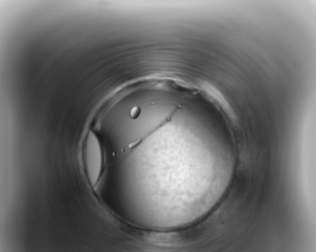 X0000088741284200706071652