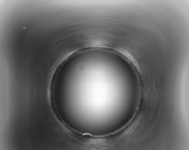 X0000088741285200706071652