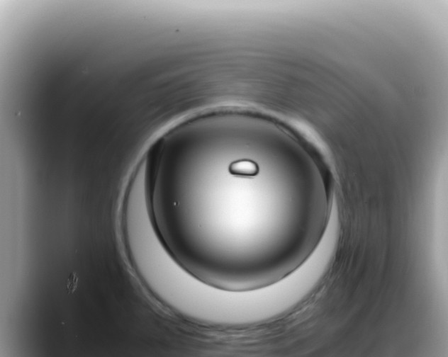 X0000088741287200706071652