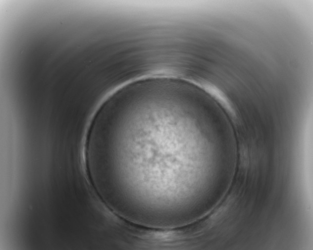 X0000088741288200706071652