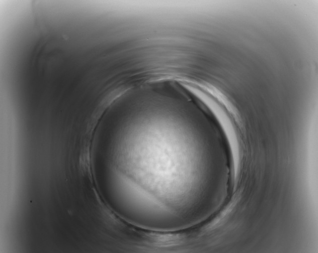 X0000088741289200706071652