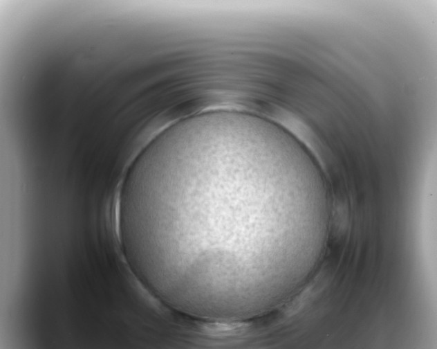 X0000088741290200706071652
