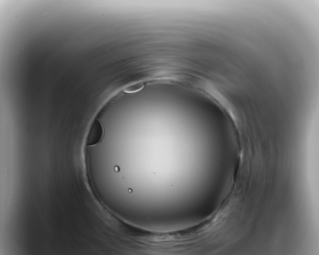 X0000088741291200706071652