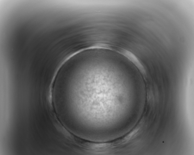X0000088741292200706071652