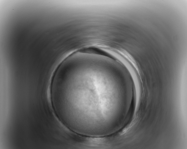 X0000088741293200706071652