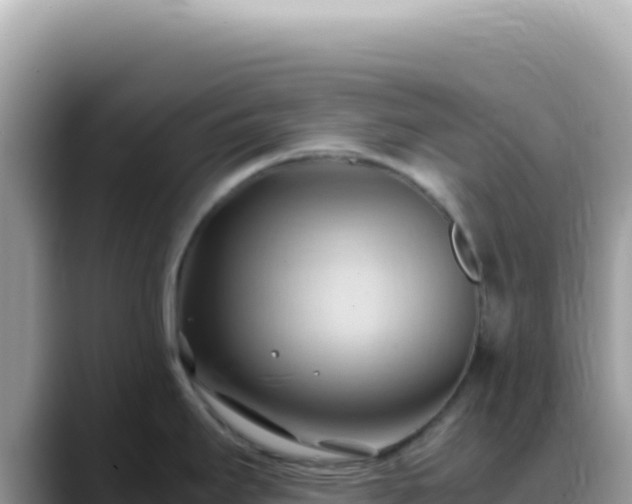 X0000088741295200706071652