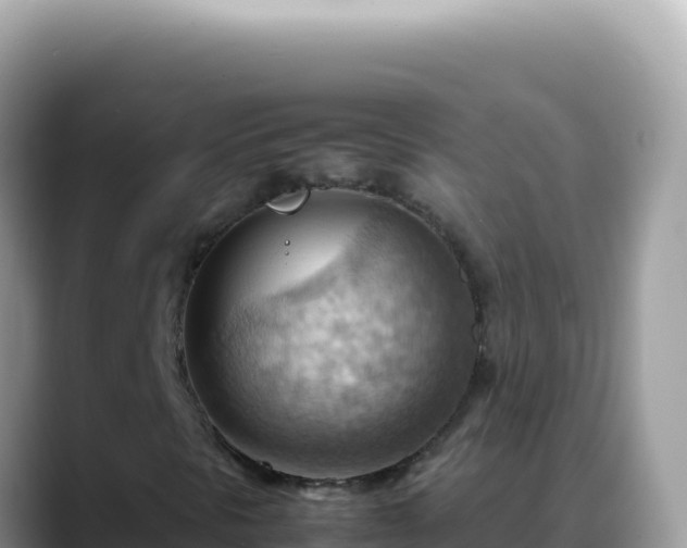X0000088741297200706071652