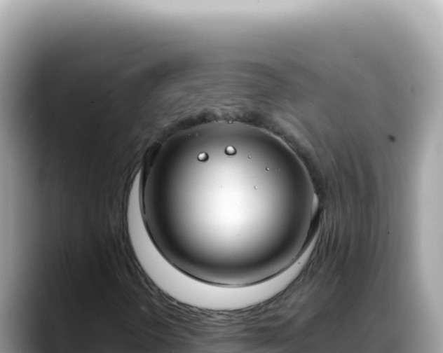 X0000088741298200706071652