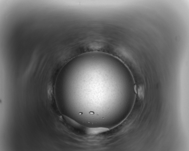 X0000088741299200706071652